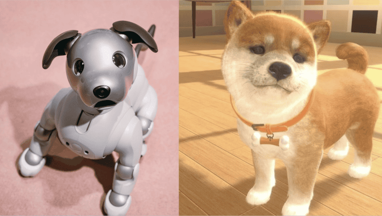 Appearance of Robot vs Virtual Pets: Key Distinctions